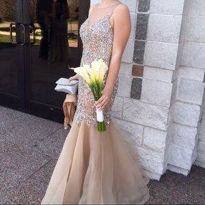 Terani gown